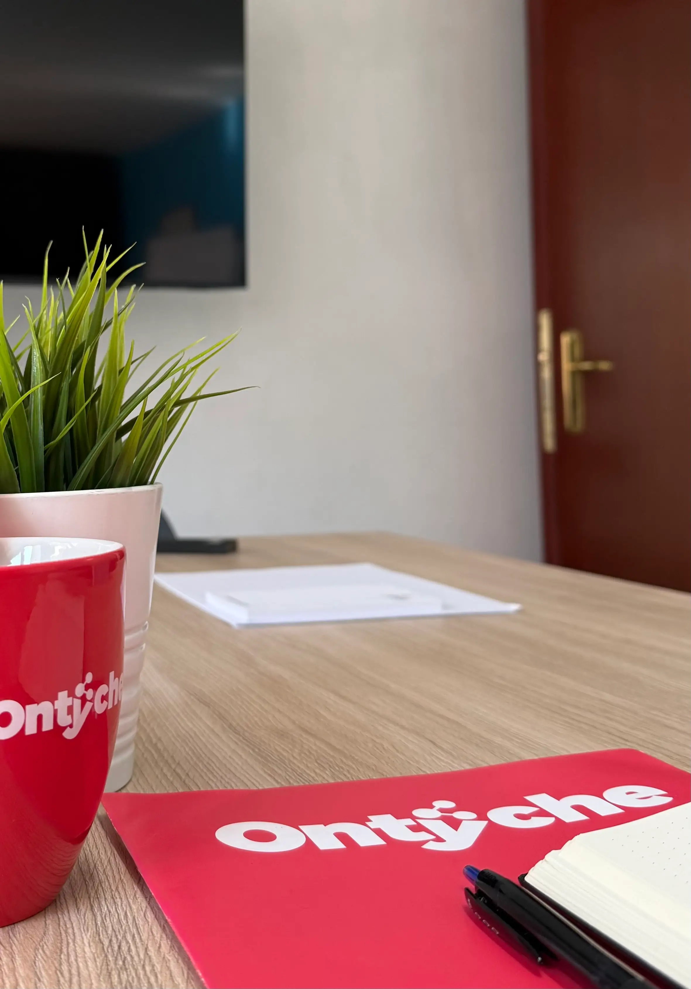 Agencia de Publicidad en Google (SEM y Google Ads) - Ontyche ontyche ads - Ontyche